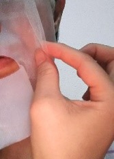 HIRONDELLE FACE MASK premium