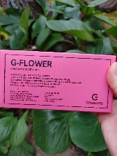 G.FLOWER